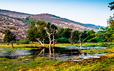 Beautiful Lake at Ranthambore Tiger Reserve